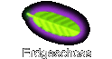 Erdgeschoss