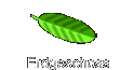 Erdgeschoss