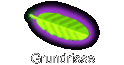 Grundrisse