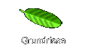 Grundrisse