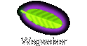 Wegweiser